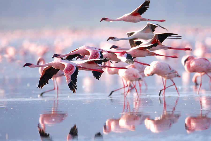 PARK-LAKE-NATRON-NATIONAL-PARK