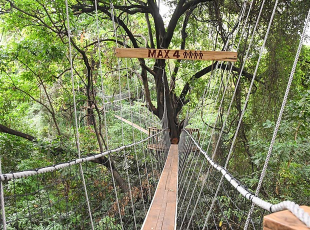 Treetop-Walkway-in-Lake-Manyara-National-Parkss